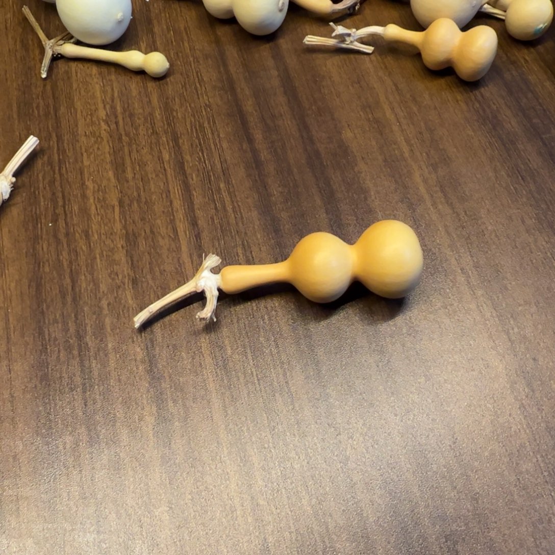 w***y大叶紫檀（黑酸枝木类）