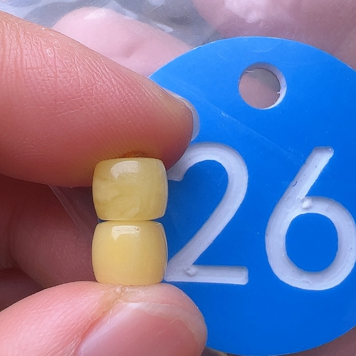 蜜蜡裸石未镶嵌7m m