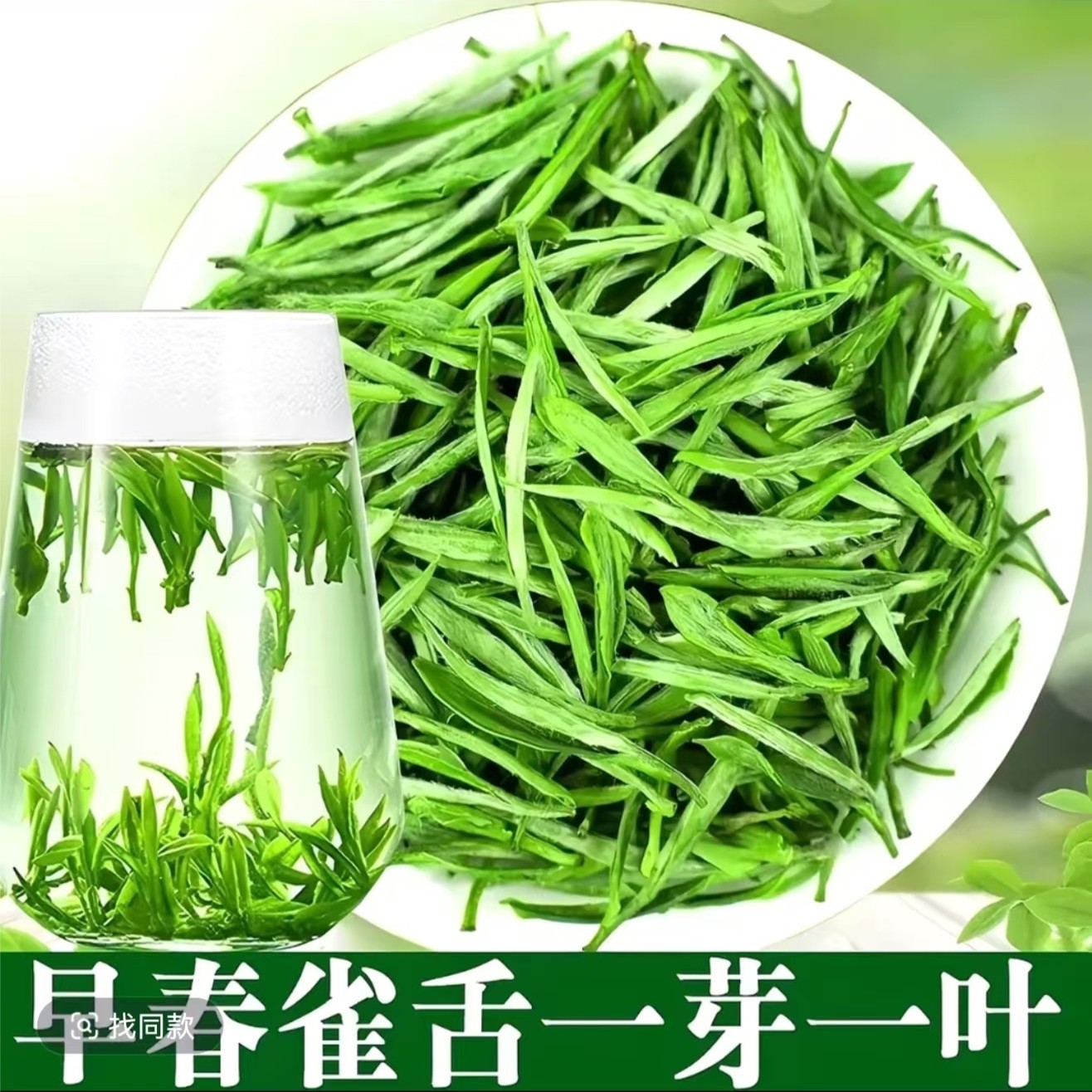 2025新茶雀舌绿茶茶叶500g罐装