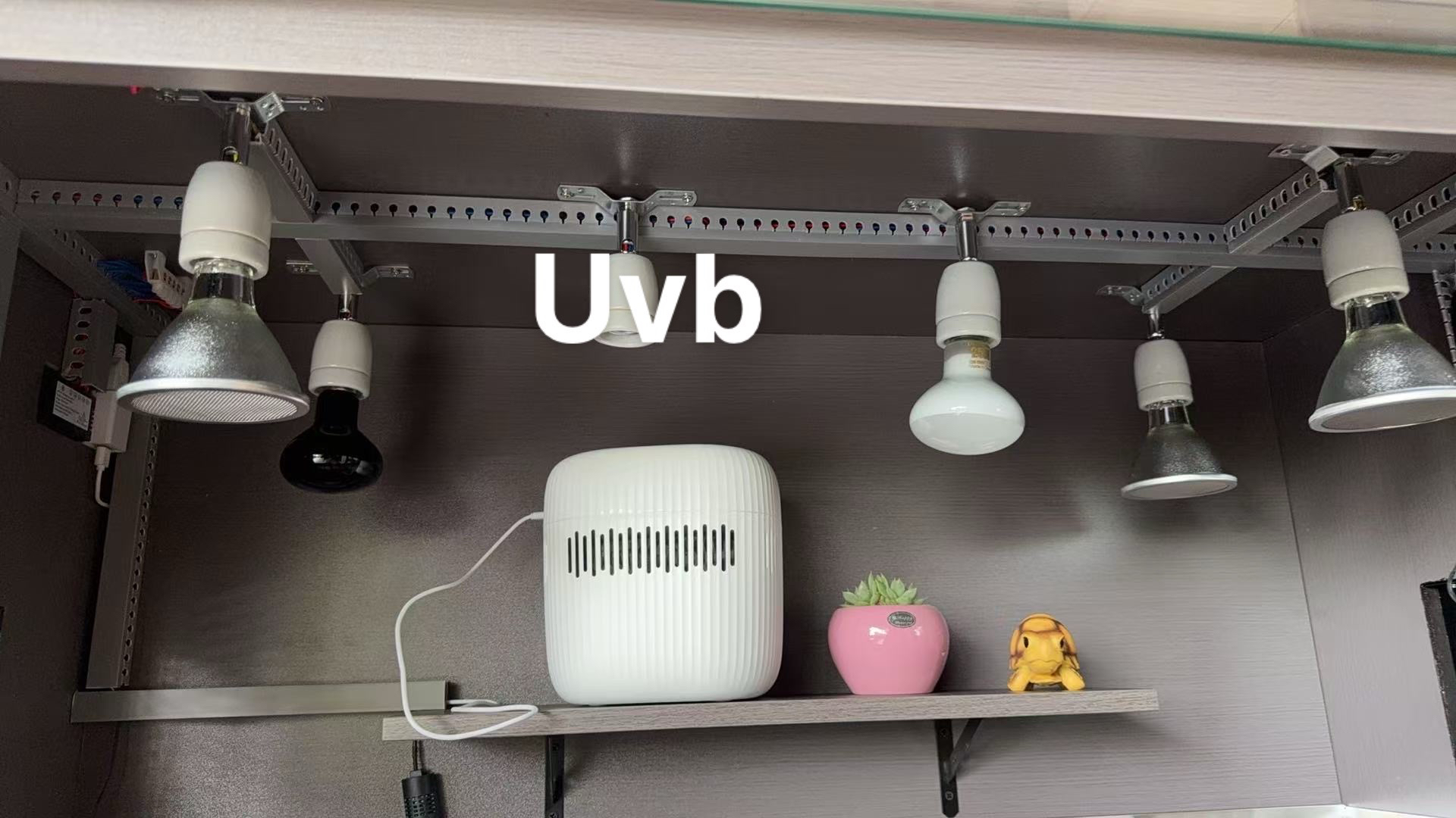 饲养箱灯具使用补差价专用链接