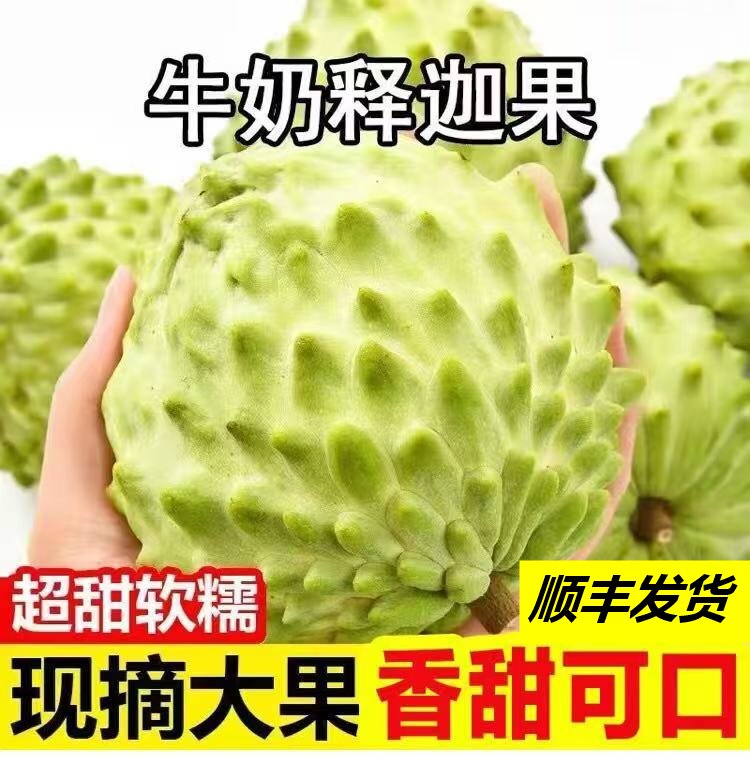 【顺丰送货上门】实惠装 广西  正宗新鲜牛奶凤梨释迦果当季软糯