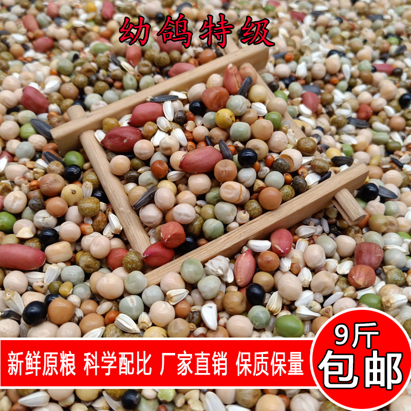 金冠新鲜幼鸽特级9斤种鸽赛鸽幼鸽观赏鸽肉鸽种鸽鸽子粮鸟粮鸟食