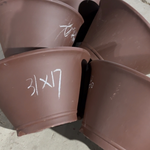110-5。     微瑕31-17