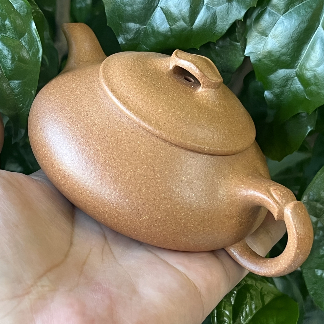 宜兴原矿紫砂简瓢壶半手工制作170cc金降坡泥料