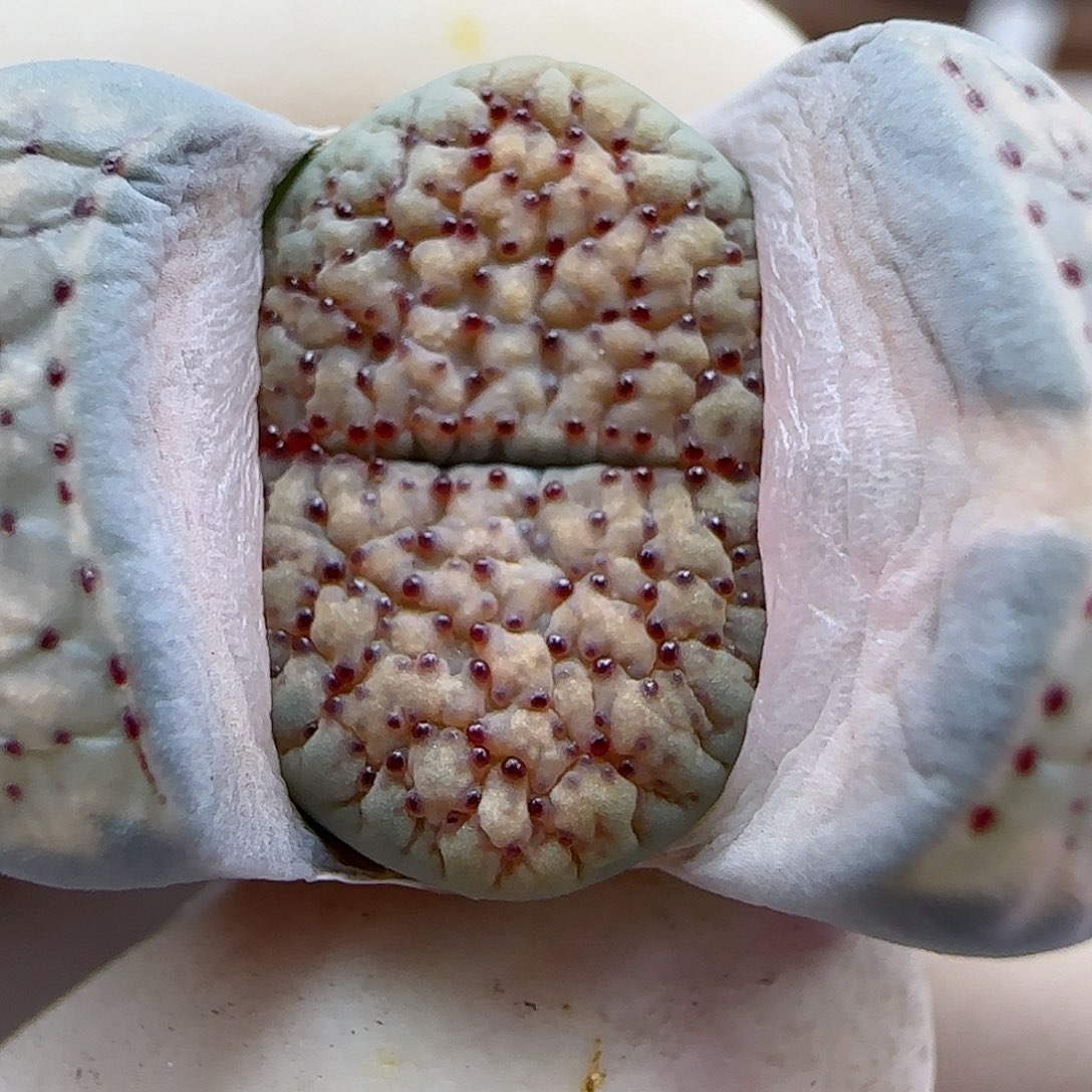 430福利福利福利