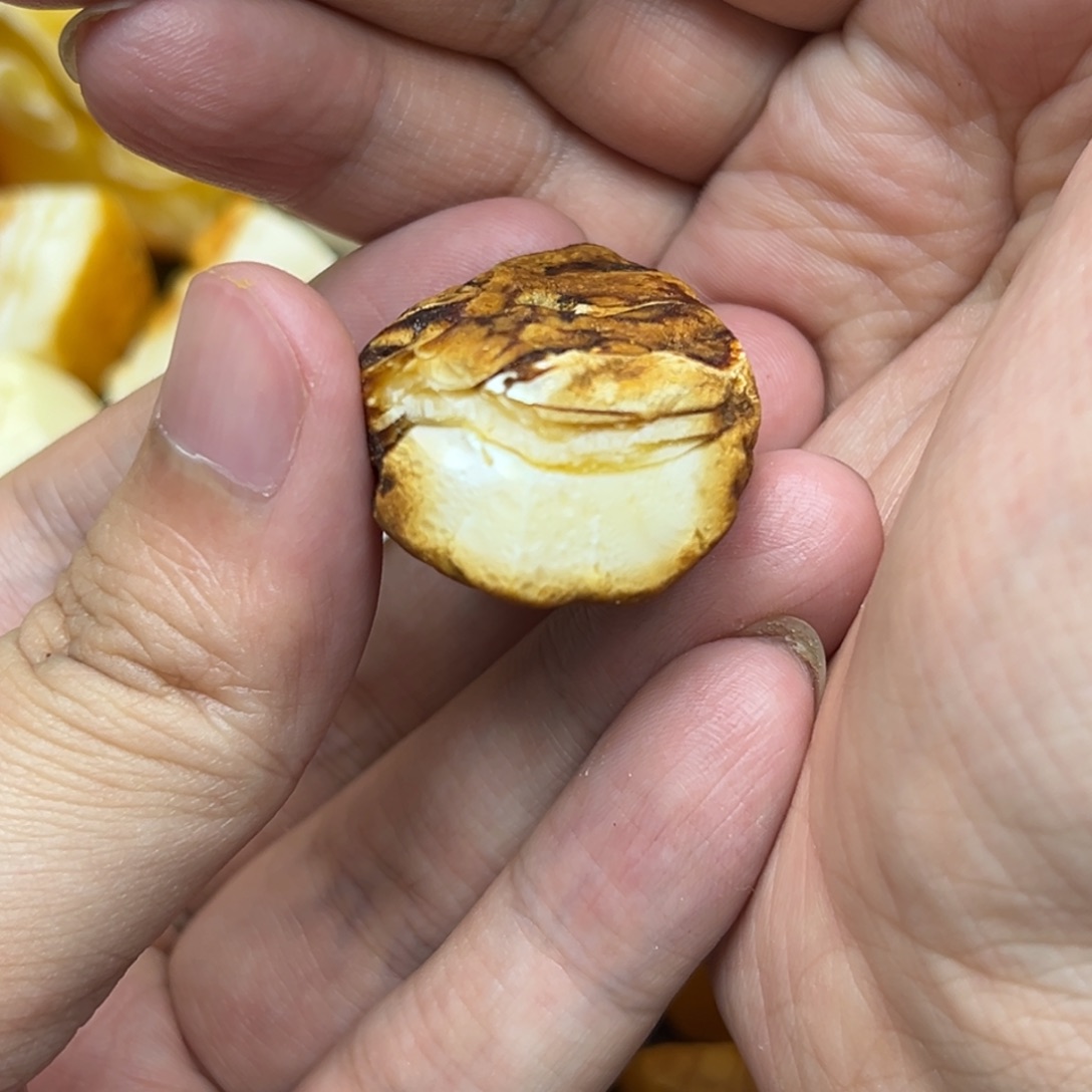 定制琥珀未镶嵌蜜蜡