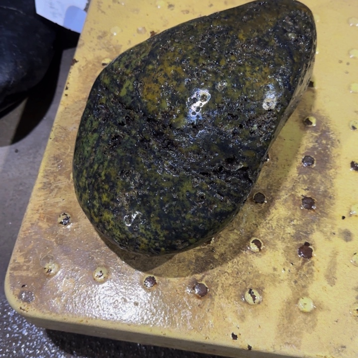 随***舞益茶堂祝您生活愉快