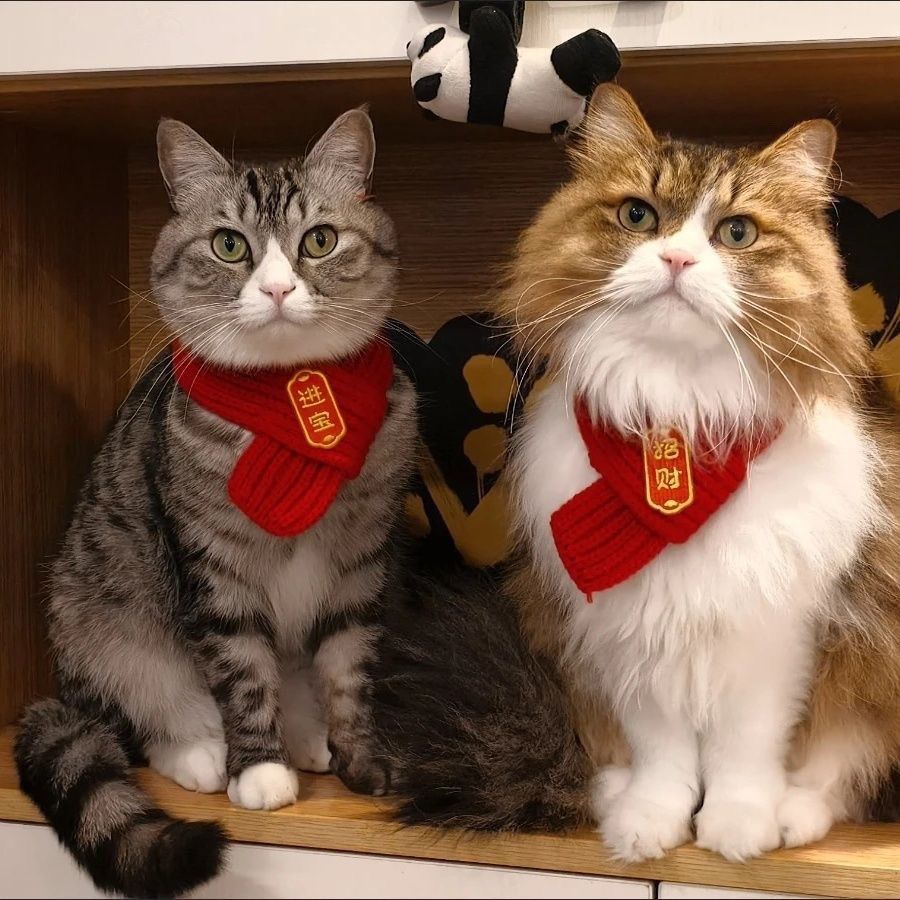 猫咪狗宠物围脖针织保暖红色围巾好寓意创意手工冬季可爱新年围脖