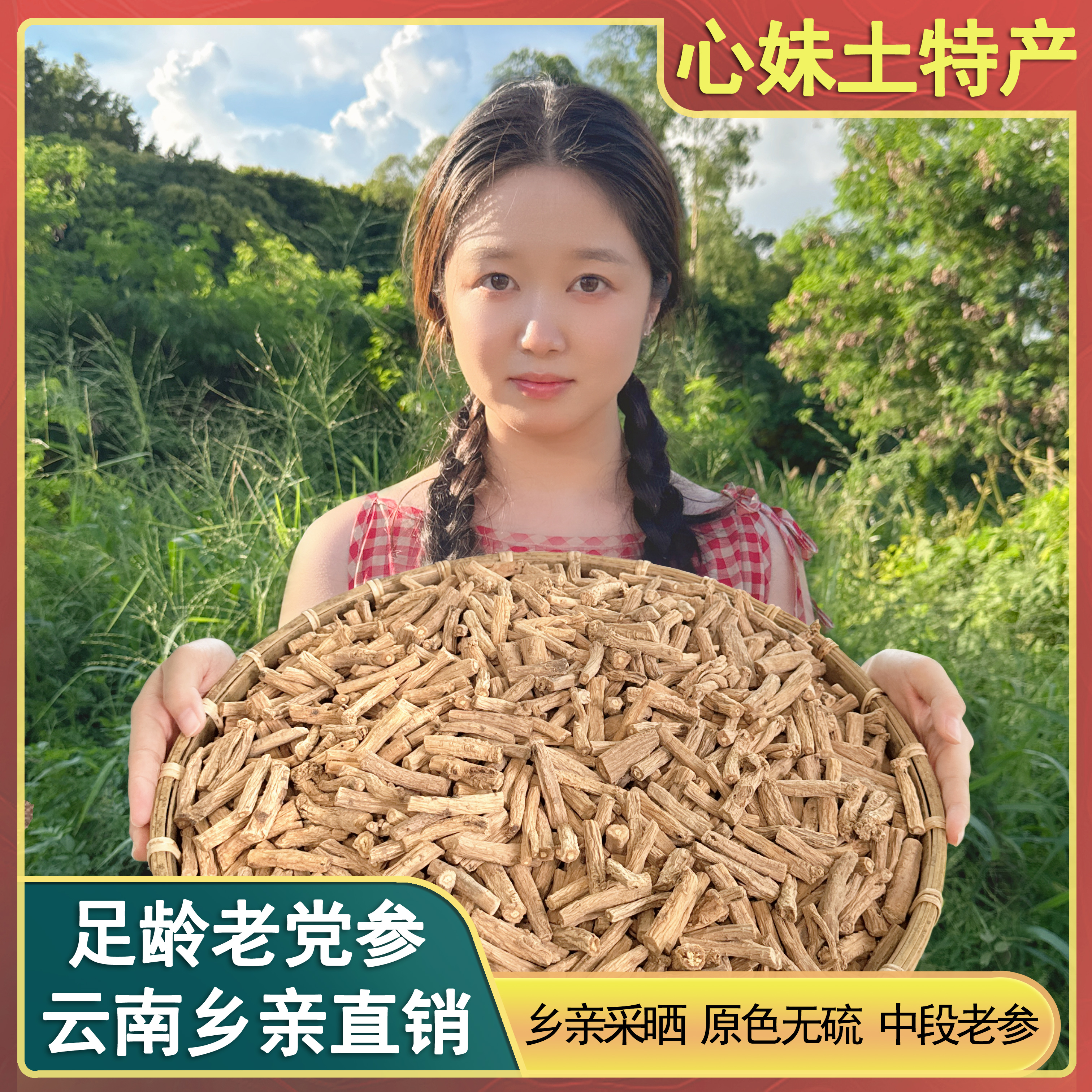 心妹土特产 党参段 农家土特产