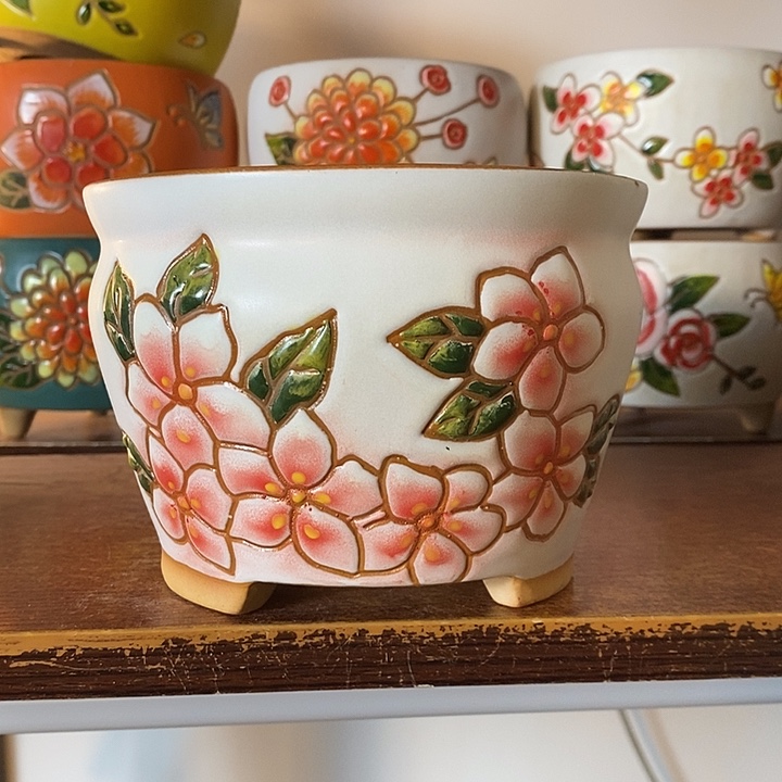 韩式多肉植物花盆