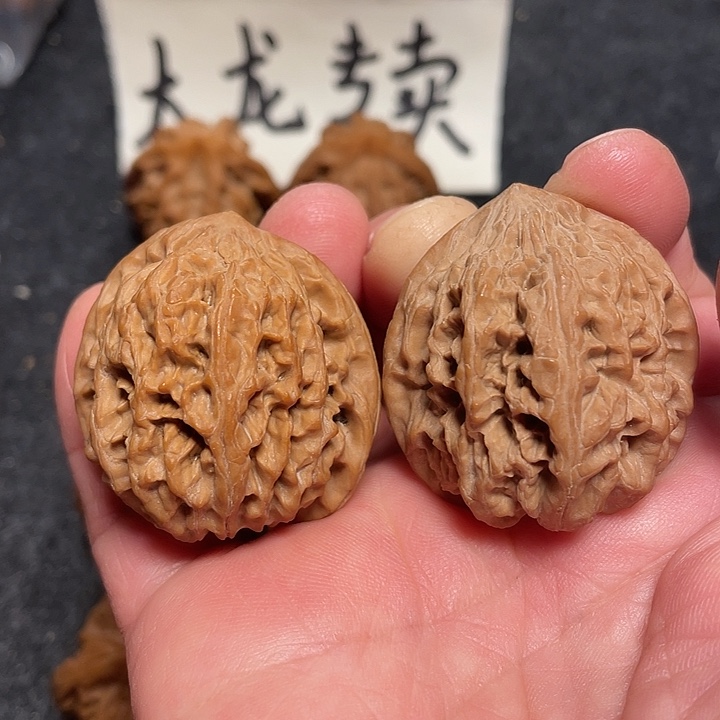 文玩核桃把件文玩核桃野牛