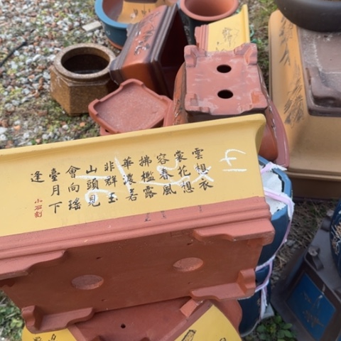红陶紫砂花盆盆景盆栽