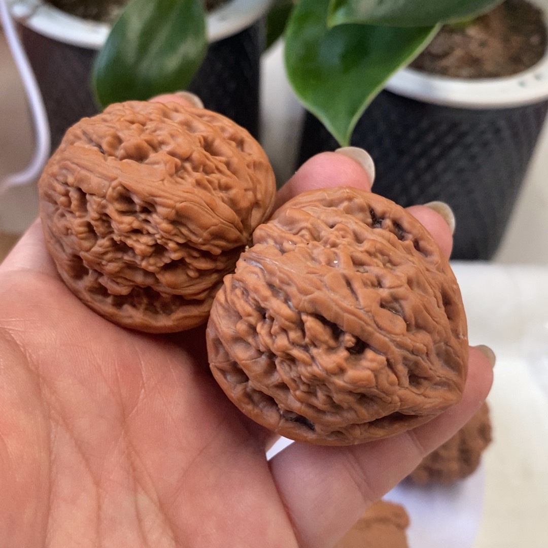 木质虎头王——————————