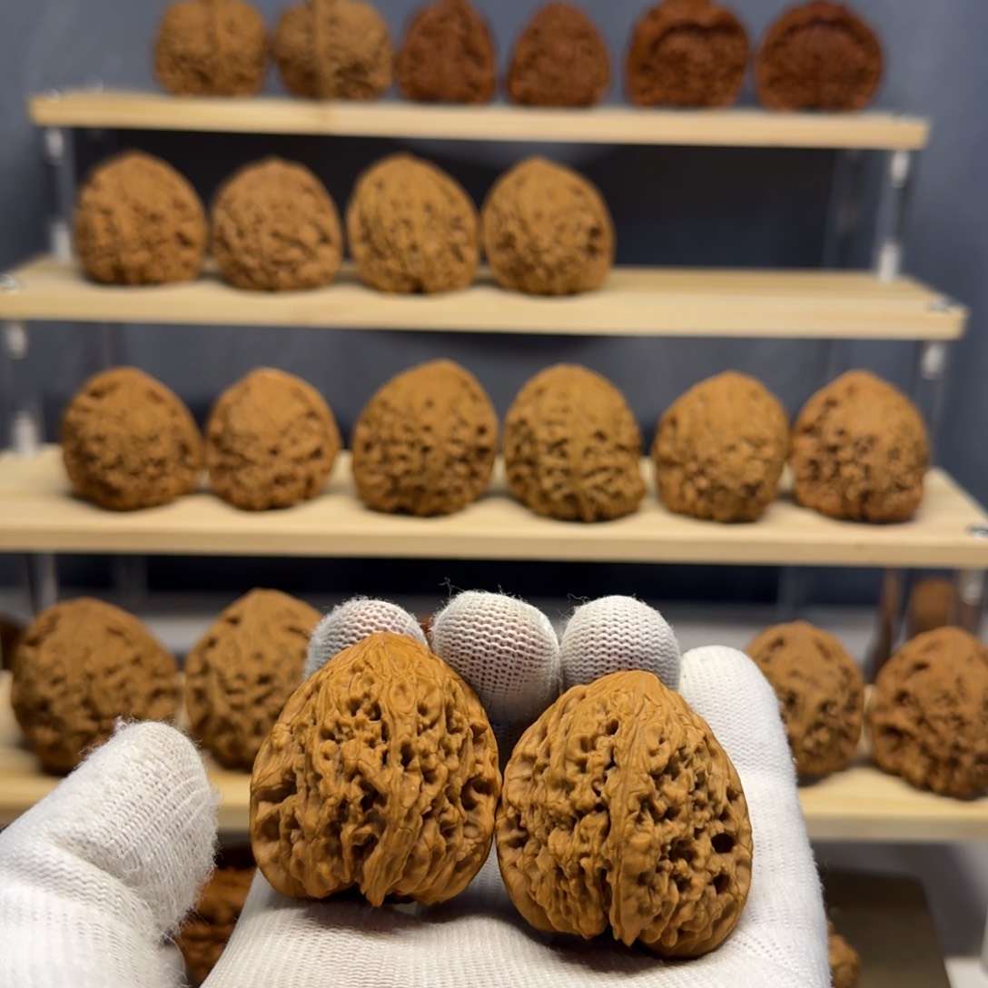 【闪购商品】嘉**应炮弹