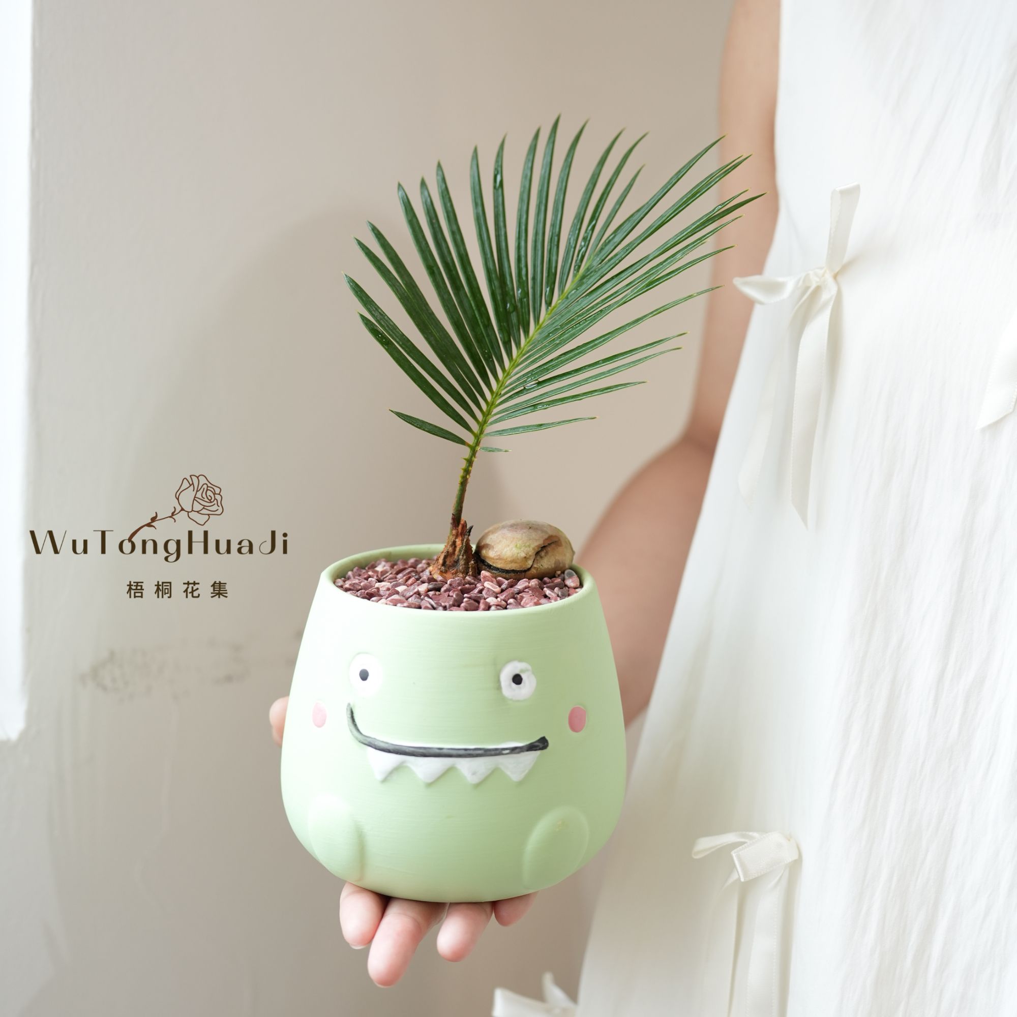 铁树宝宝小恐龙盆器室内办公室好养绿植绿植可爱风