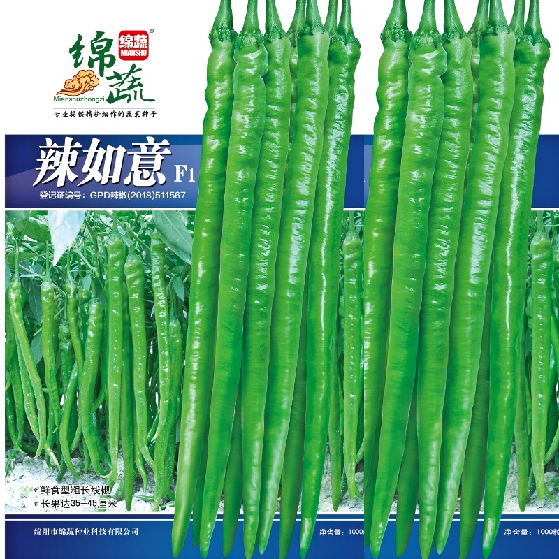绵蔬【辣如意】粗长型线椒青果嫩绿色早熟辣椒大棚露地均可种植