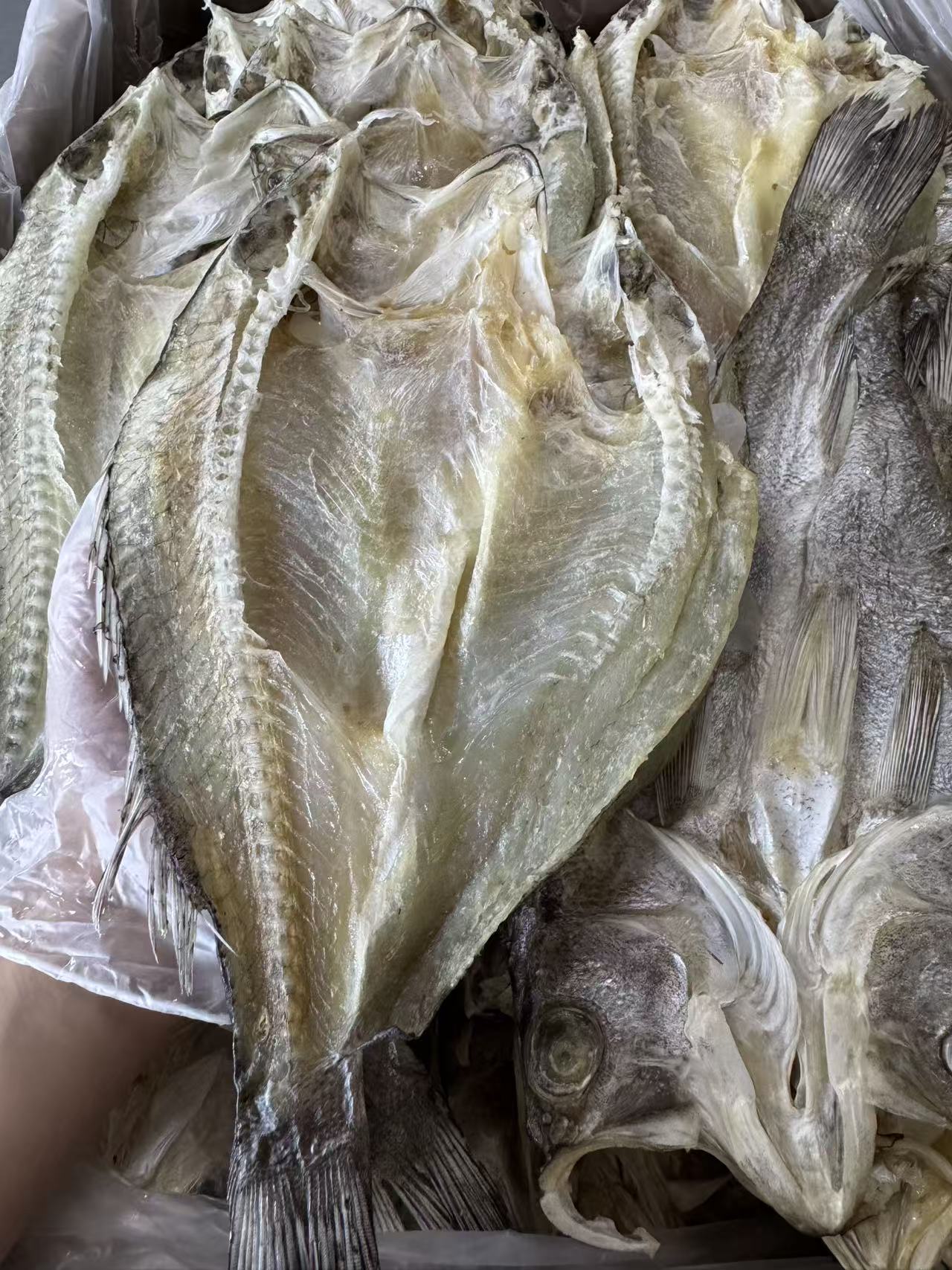 渔民自晒 淡干海鲈鱼片