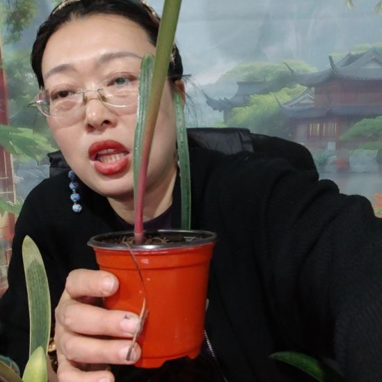 完全开放老粉丝福利最美女人