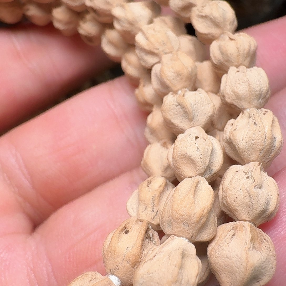 柏香籽/百香籽吊坠摸*