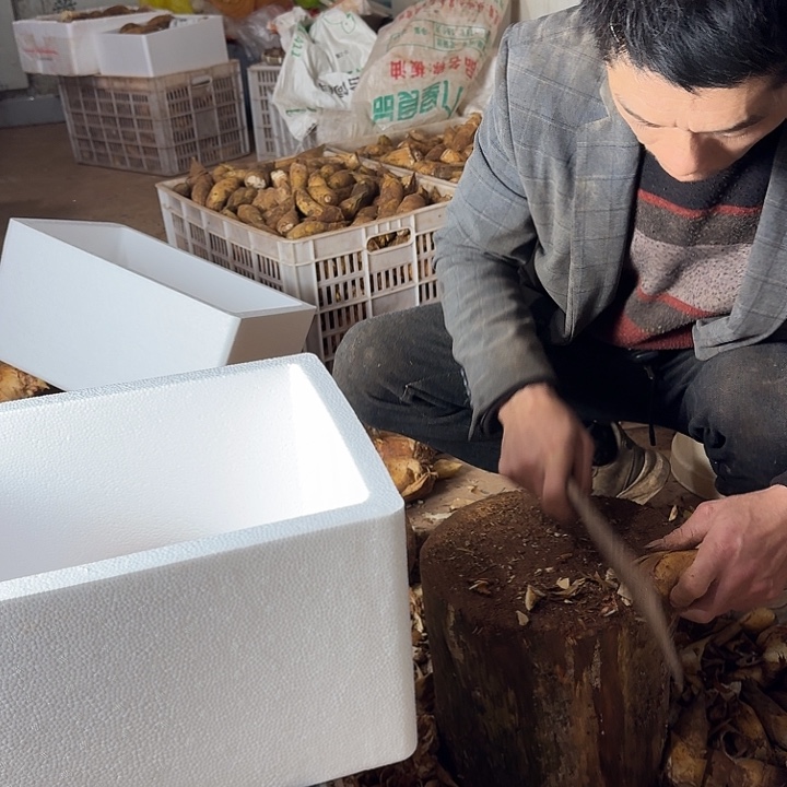 ｀***中国大陆四川黄泥冬笋一至二两