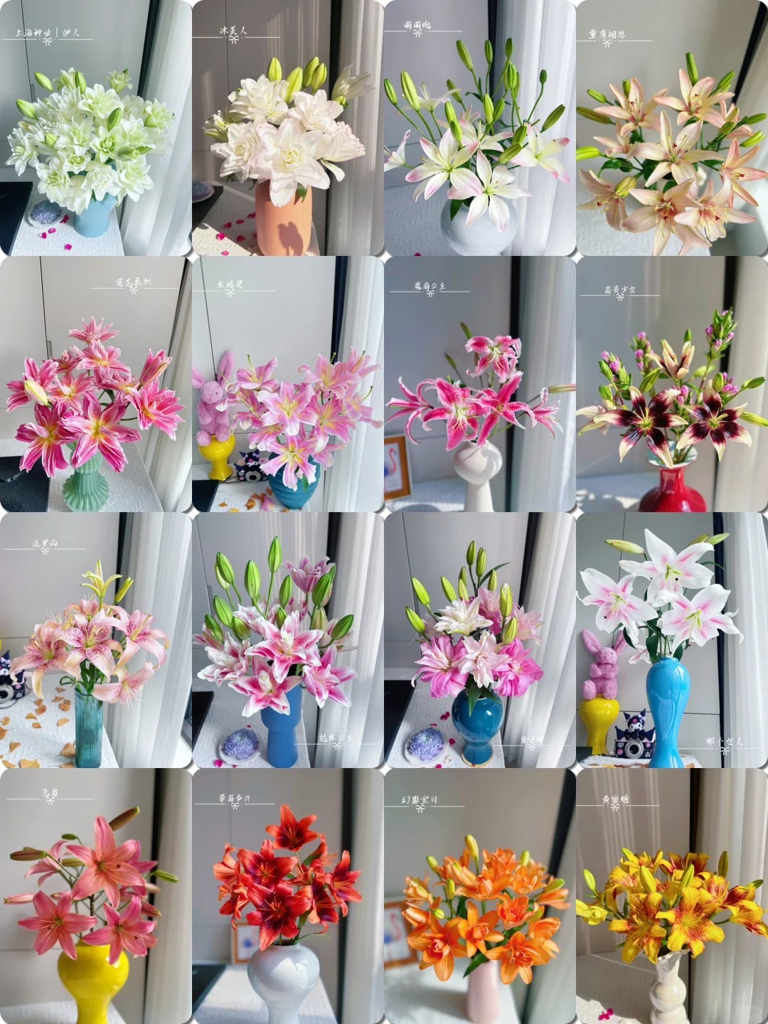 【惊喜小盒】任意2单鲜花云南直发鲜花家居水养插花鲜切花