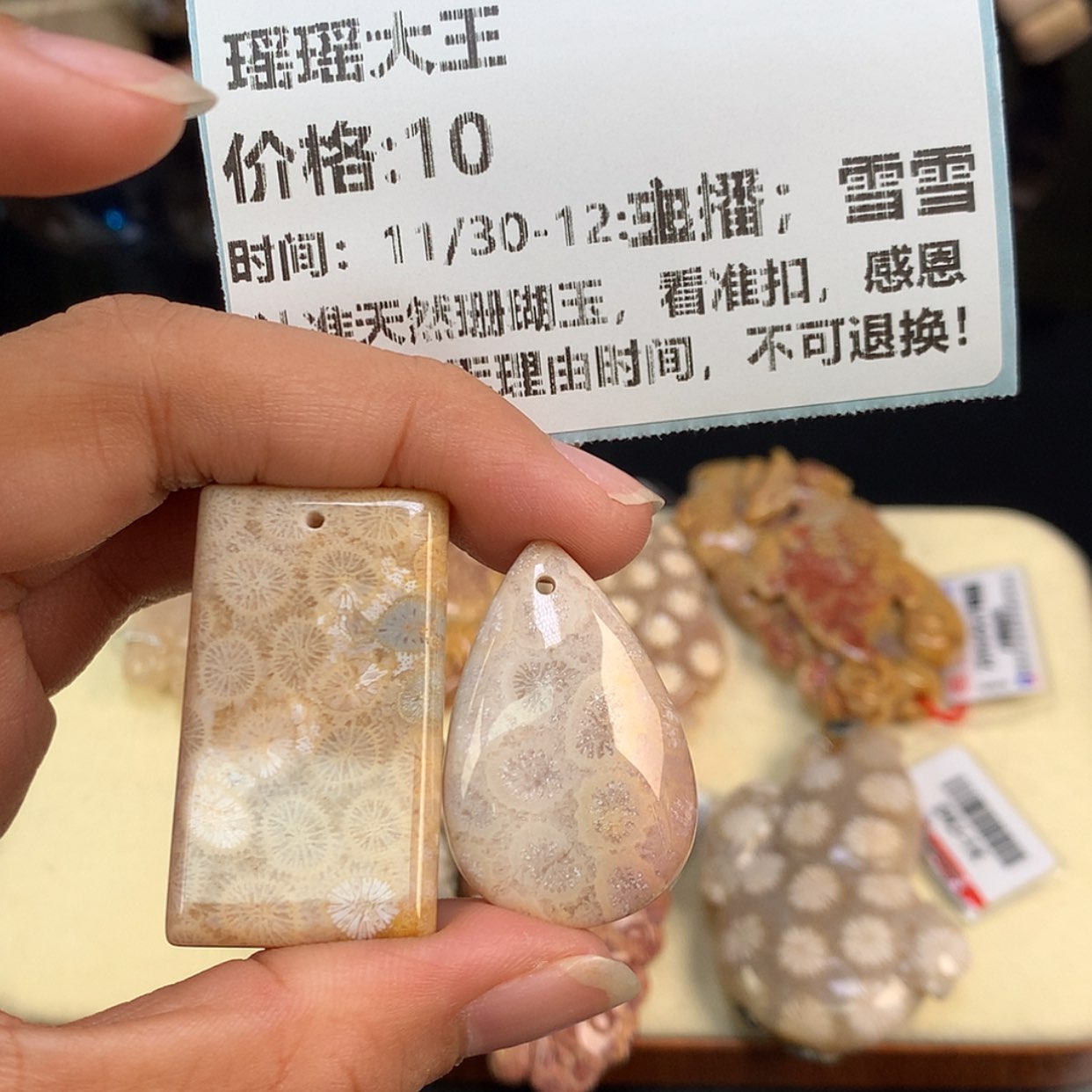 【闪购商品】颈饰未镶嵌硅化珊瑚（珊瑚玉）瑶**王
