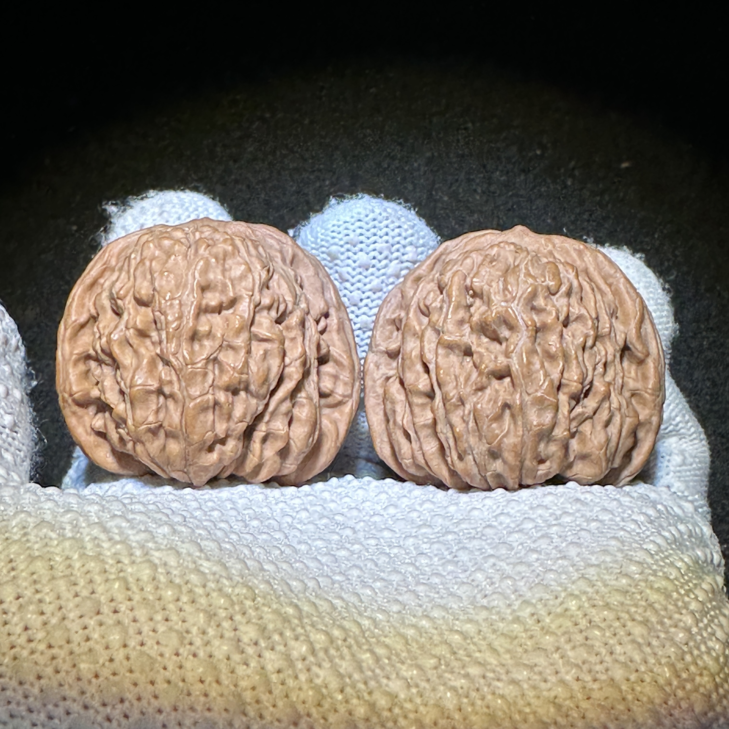 四座楼麻核桃（微修打底）