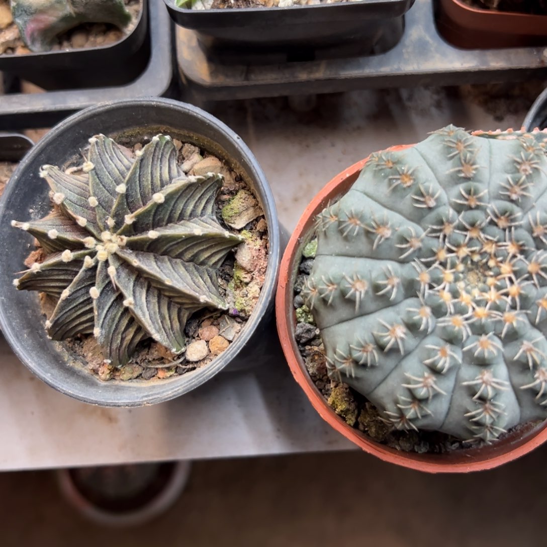 有***可哈哈哈哈哈哈哈哈哈哈