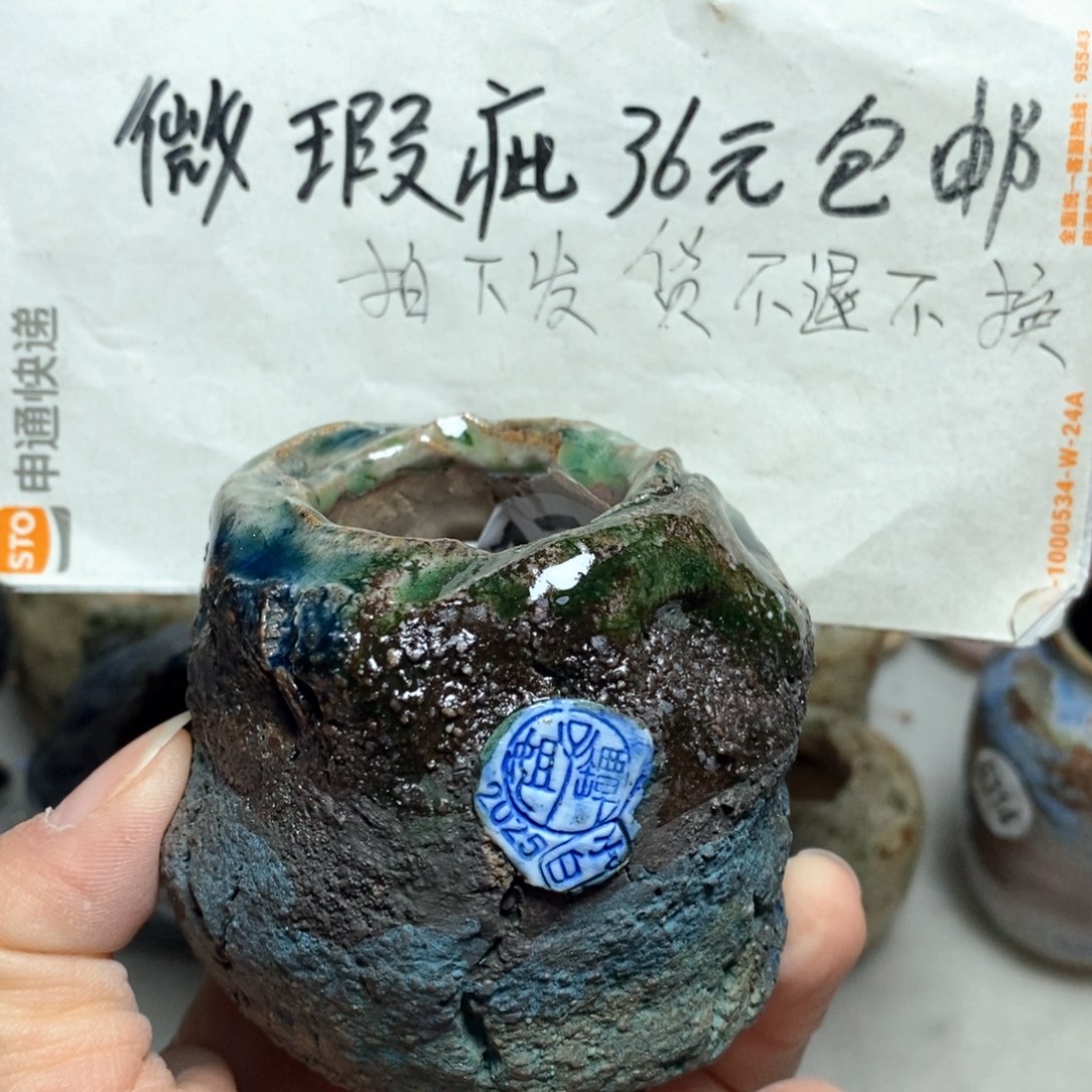 花盆拍3送一个小礼物