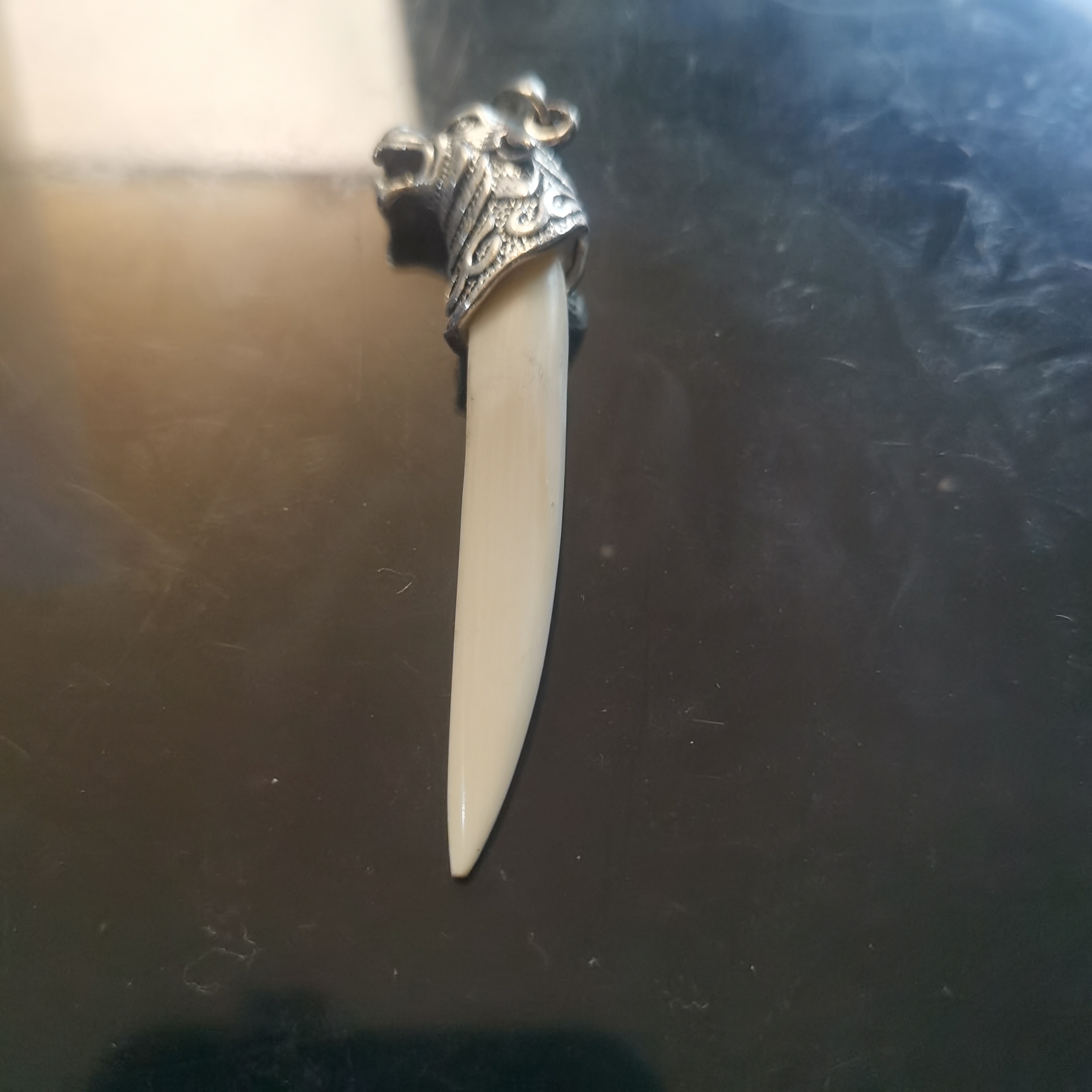 猛犸牙牙尖约11.5克HH93