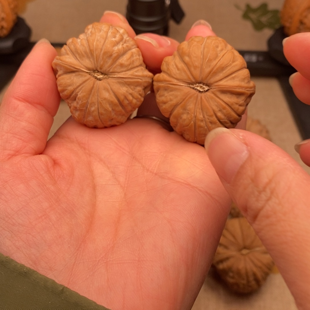 我***亮南瓜墩南瓜墩南瓜墩