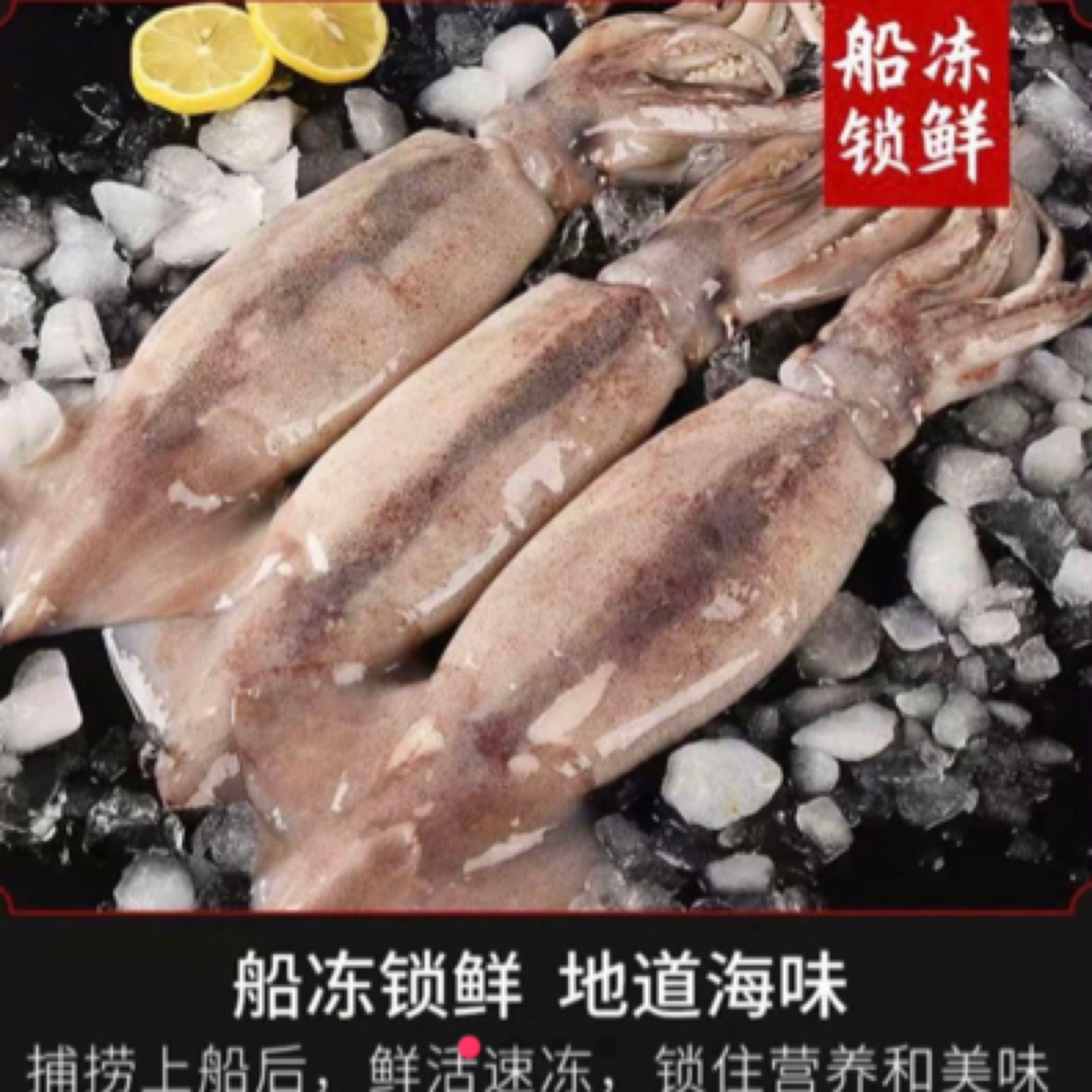 5斤精品生鲜大鱿鱼速冻发货