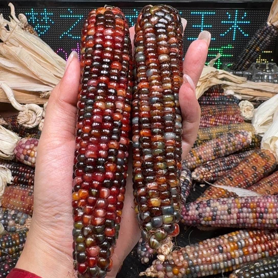 柏香籽/百香籽吊坠今*