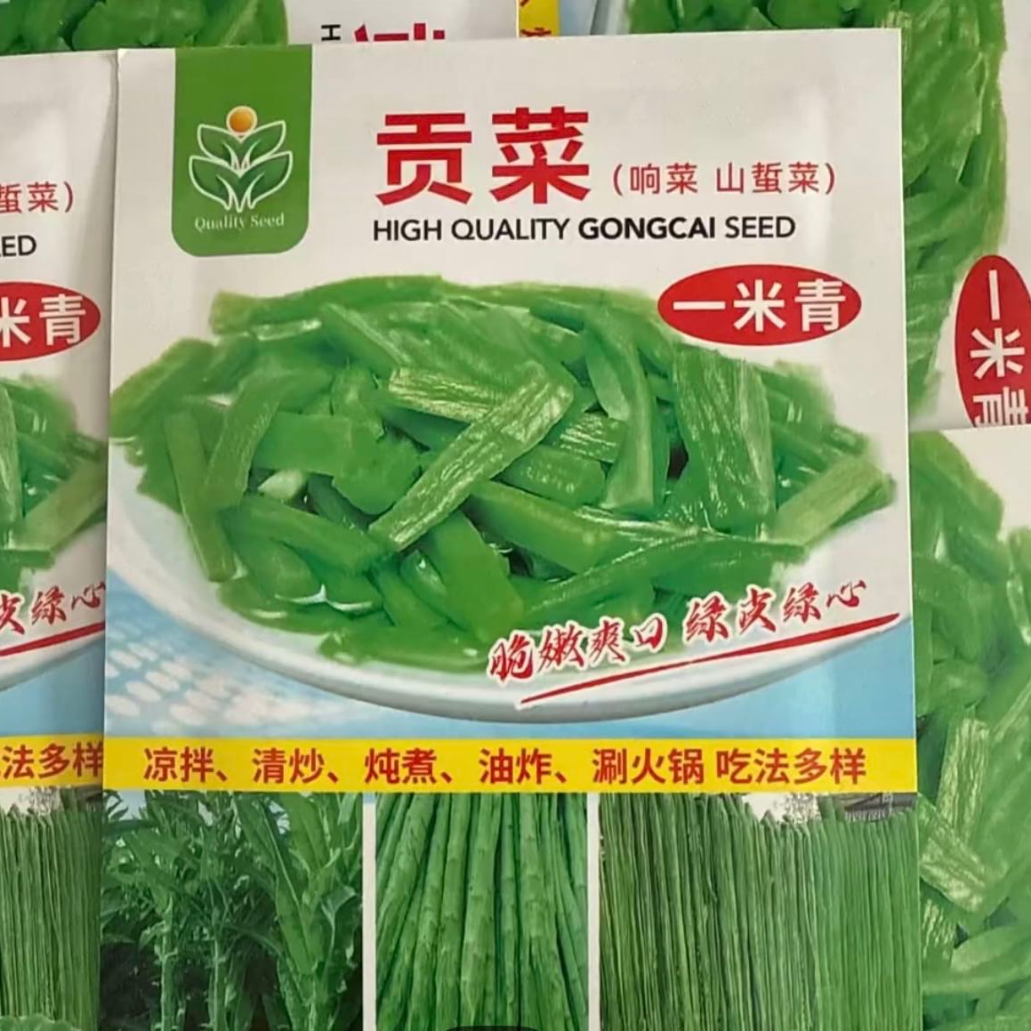 贡菜种子2克800粒左右