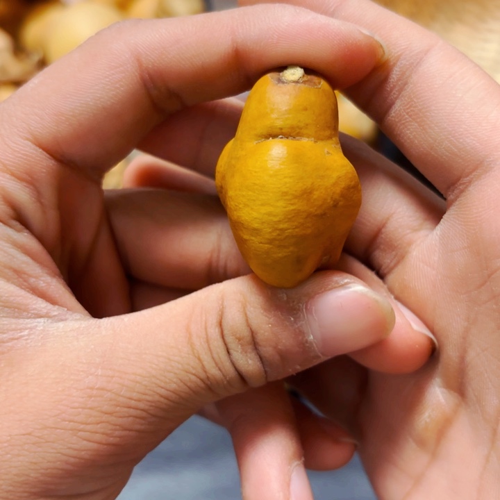 我**智8888888888888888888