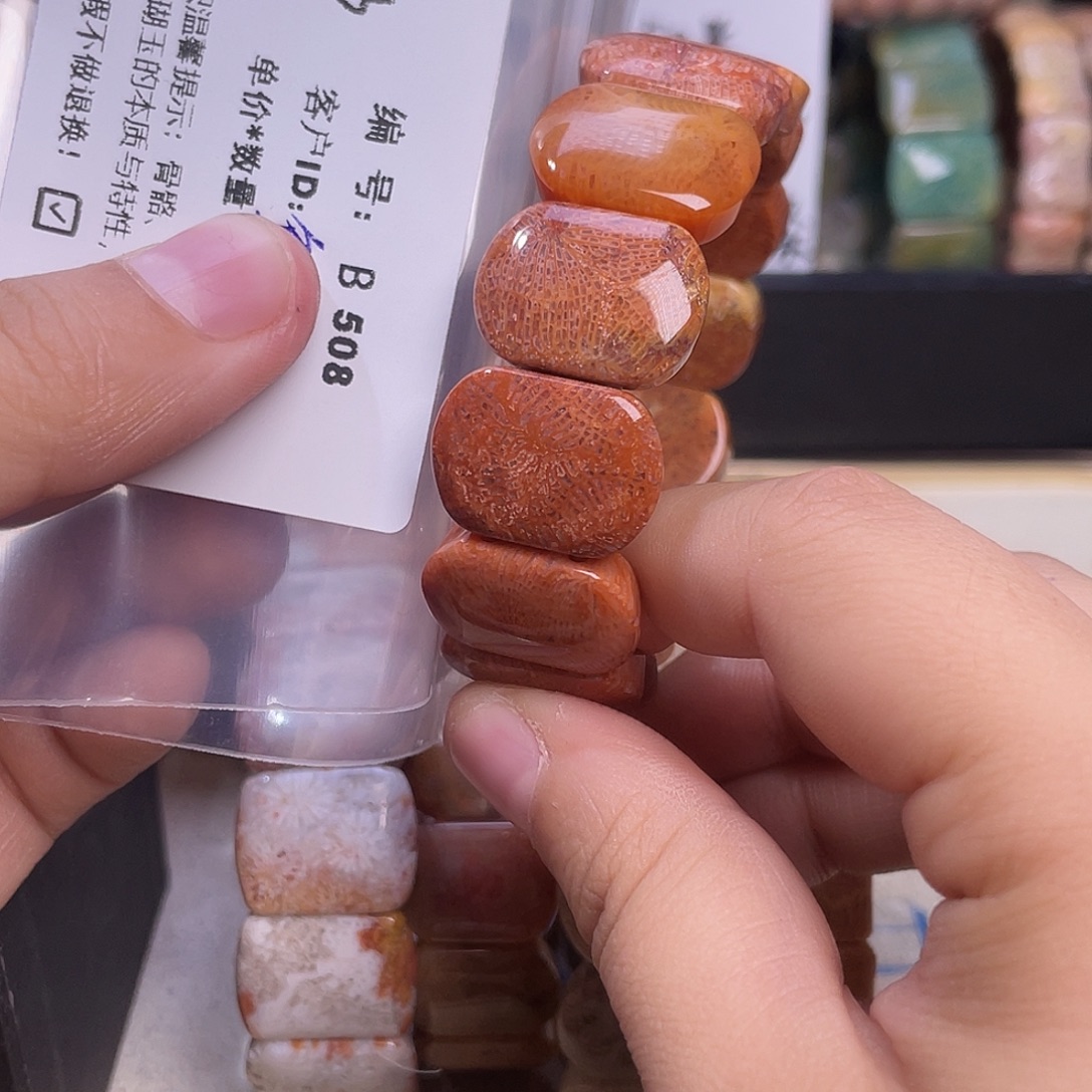 鱼***鱼硅化玉未镶嵌手镯