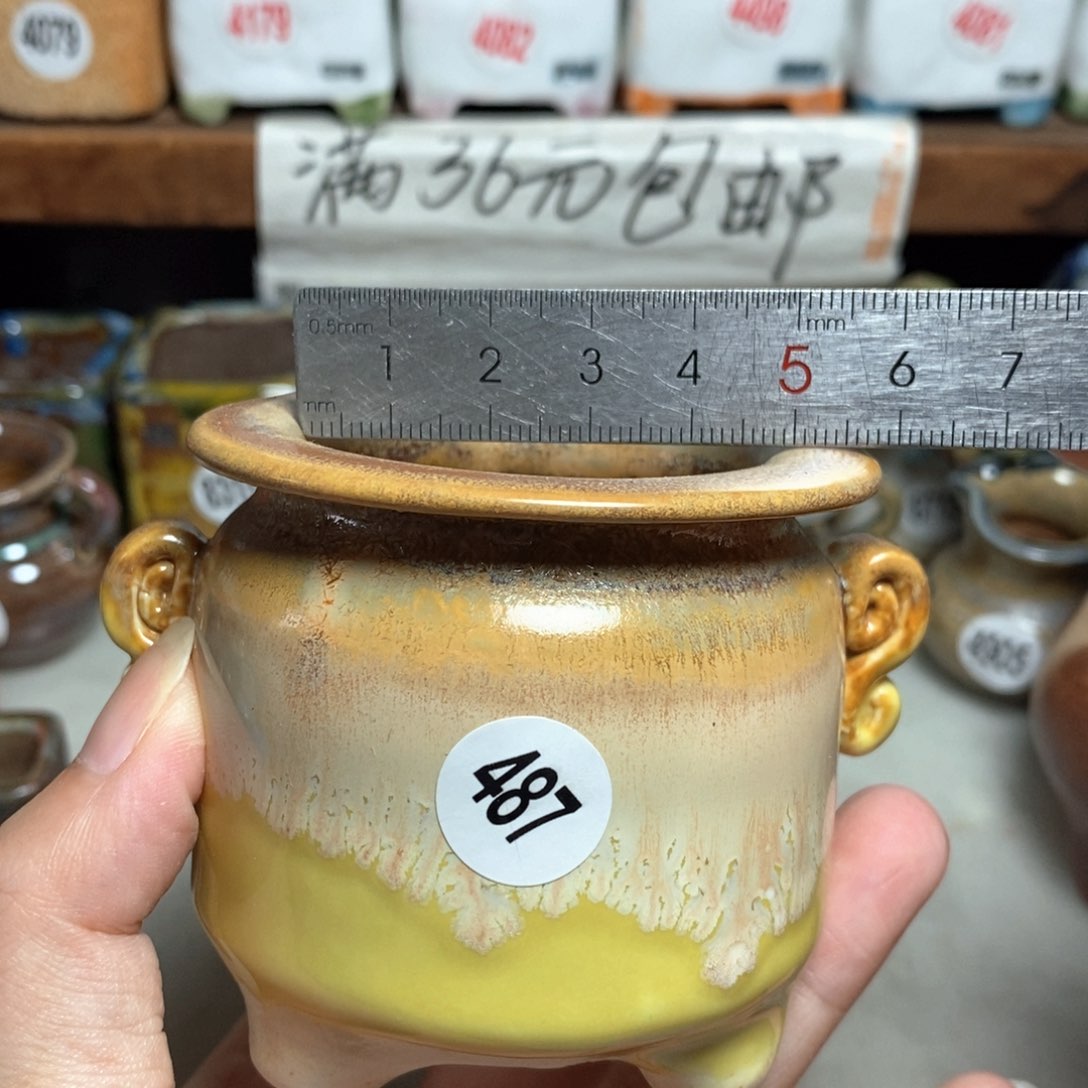 拍5送一个小礼物
