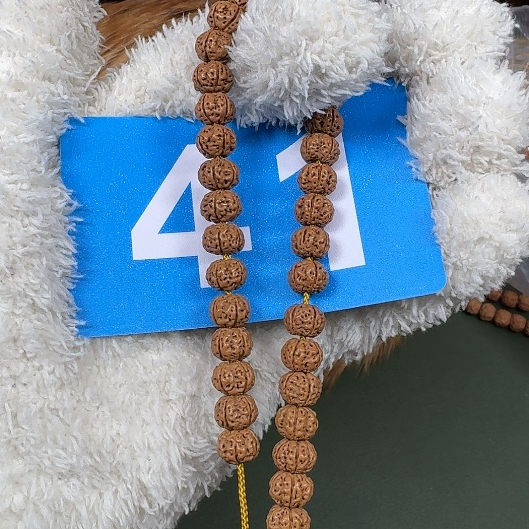 金刚菩提吊坠9树王。  41