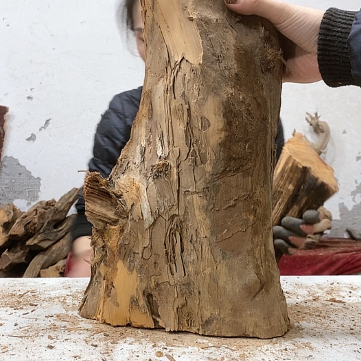 【闪购商品】柏木凡*我们都是好孩子