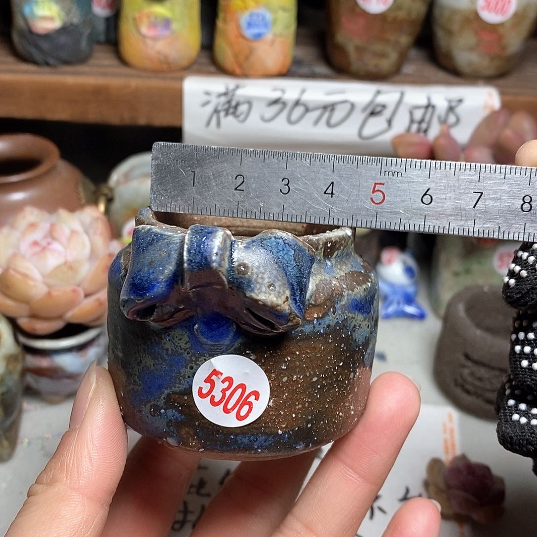 红陶拍5送一个小