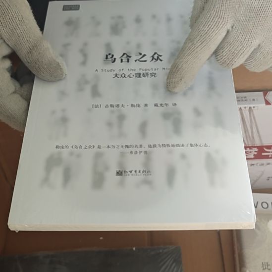 乌合之众平装库存书