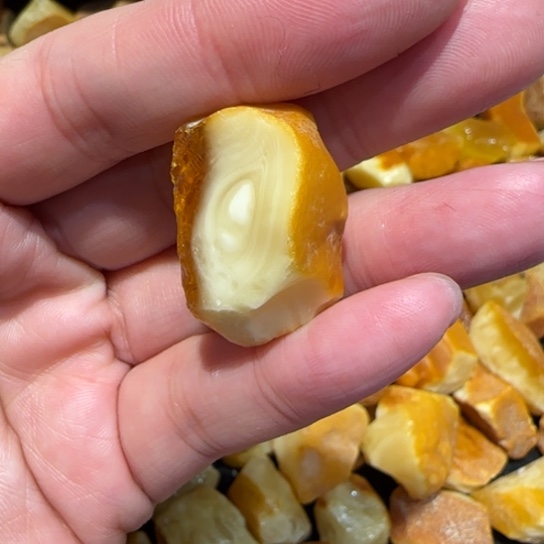 定制琥珀未镶嵌王**呀蜜蜡