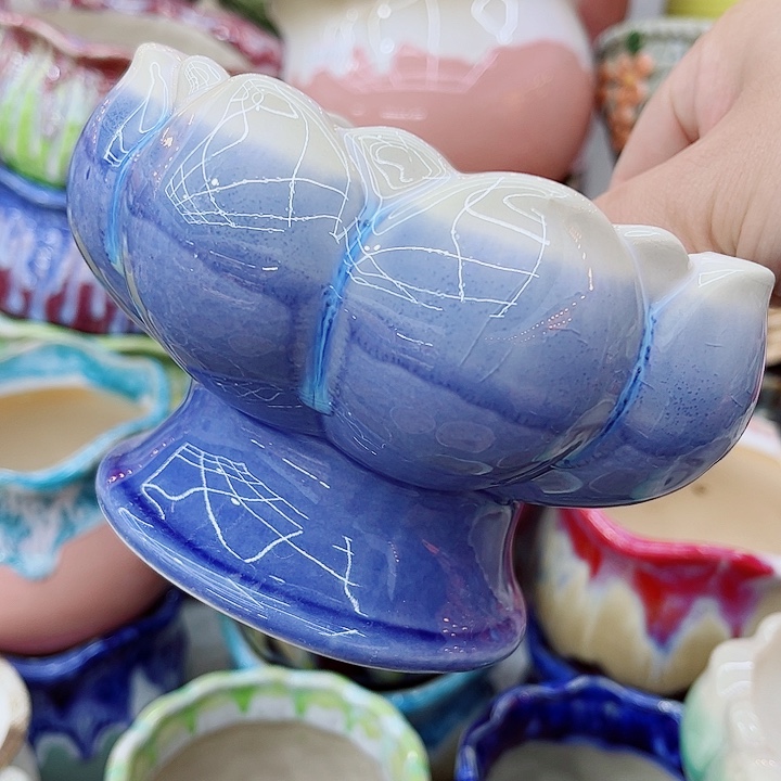 多肉植物陶瓷花盆