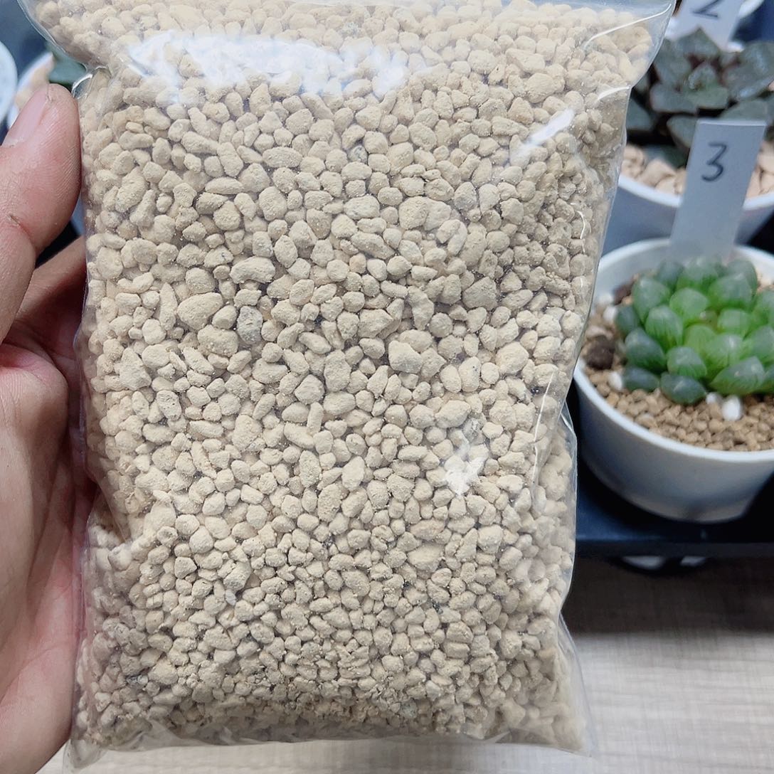 铺面石鹿沼土玉露专用