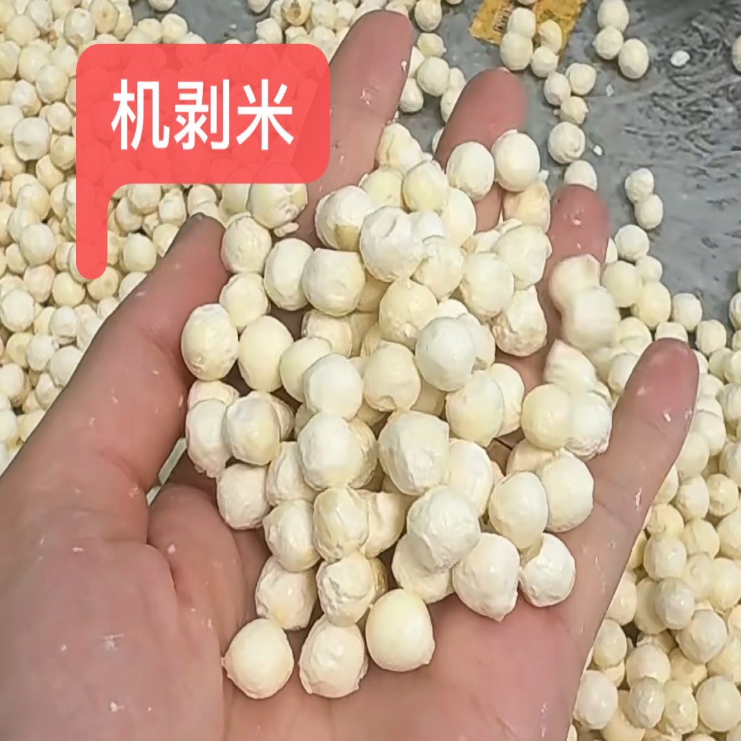 苏州精品鸡头米现摘现发软糯清香颗粒机剥米6 - 8mm