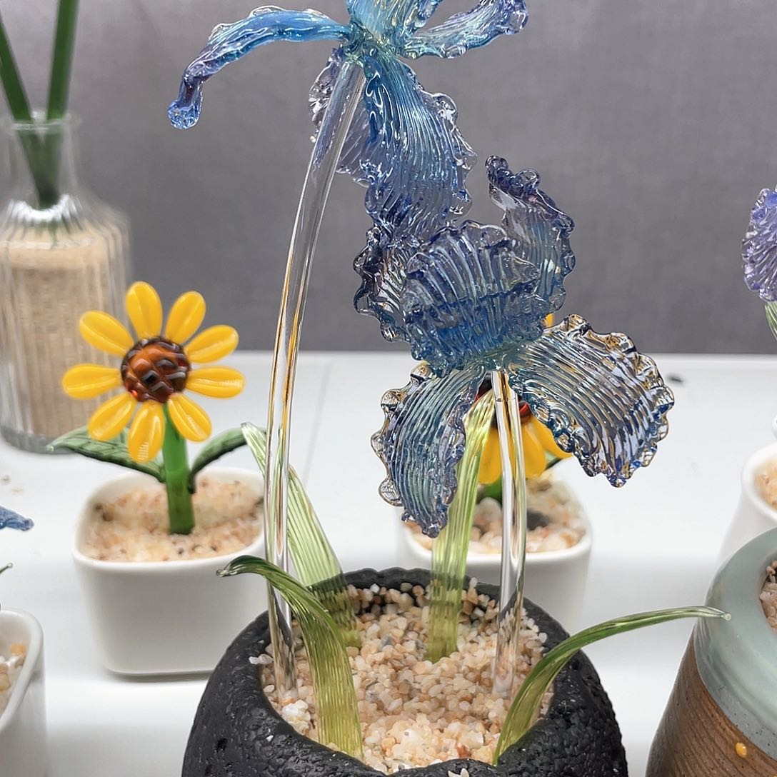 茶宠不说这些我都不好意思说你的事