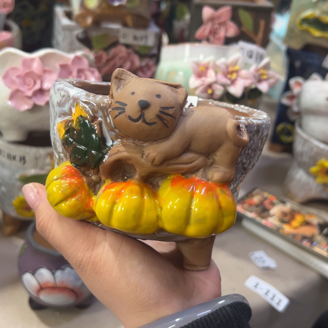 满20飞花盆爱退拉黑