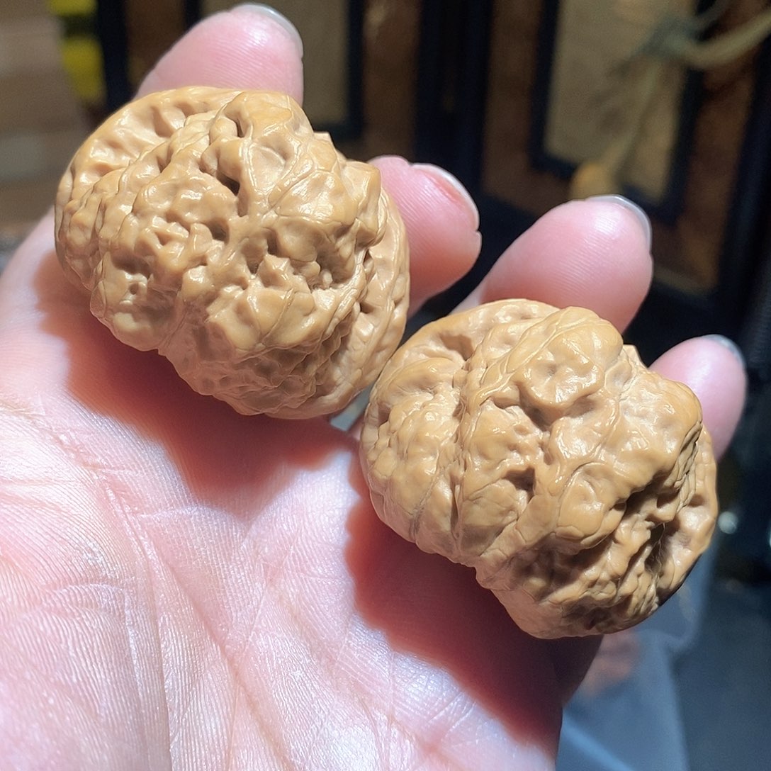 文玩核桃把件43边45肚蛤蟆头