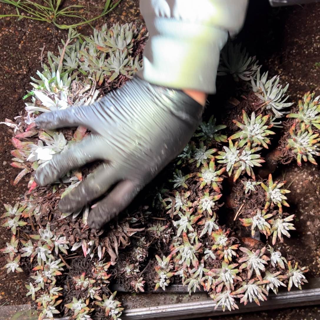 5584哈哈哈哈哈哈哈哈哈