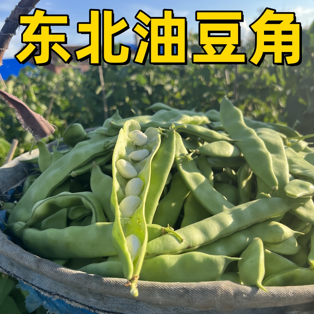 【顺丰快递】东北油豆角小院豆角新鲜采摘油豆角开锅就烂农家豆角